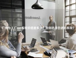 广州小工厂ERP系统价格是多少？如何选择合适的系统？