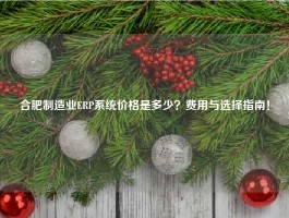 合肥制造业ERP系统价格是多少？费用与选择指南！