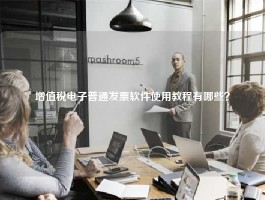 增值税电子普通发票软件使用教程有哪些？