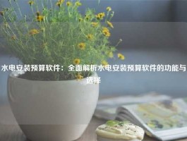 水电安装预算软件：全面解析水电安装预算软件的功能与选择