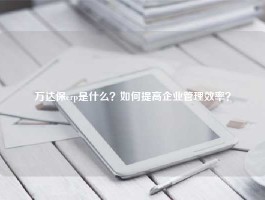 万达保erp是什么？如何提高企业管理效率？