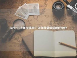 毕业生档案在哪里？如何快速查询和办理？