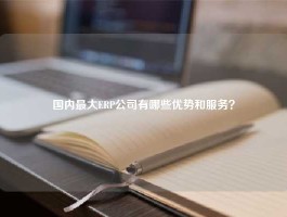 国内最大ERP公司有哪些优势和服务？