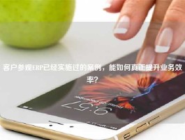 客户参观ERP已经实施过的案例，能如何真正提升业务效率？