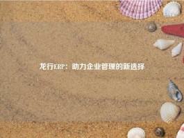 龙行ERP：助力企业管理的新选择