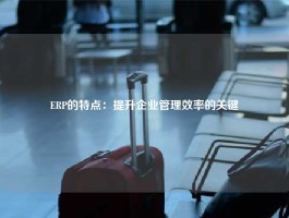 ERP的特点：提升企业管理效率的关键