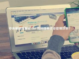 中央编译出版社 ERP 如何提高企业管理效率？