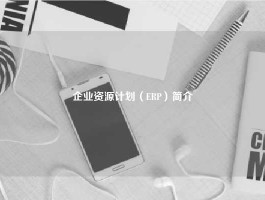 企业资源计划（ERP）简介