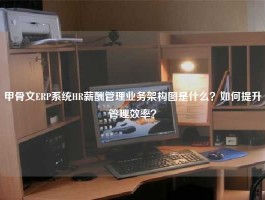 甲骨文ERP系统HR薪酬管理业务架构图是什么？如何提升管理效率？