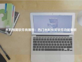 水利预算软件有哪些：热门水利预算软件功能解析