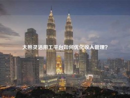 大熊灵活用工平台如何优化收入管理？