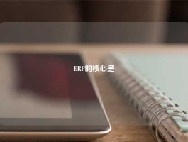 ERP的核心是