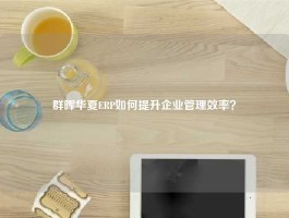 群晖华夏ERP如何提升企业管理效率？