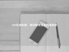 ERP实训心得：驱动管理变革的新思维