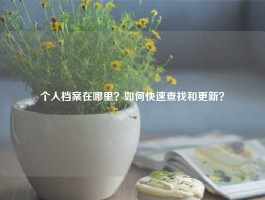 个人档案在哪里？如何快速查找和更新？