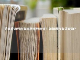 芝麻背调到底有哪些重要用处？如何进行有效查询？