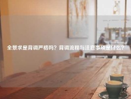 全景求是背调严格吗？背调流程与注意事项是什么？