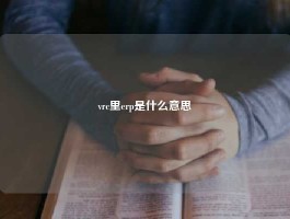 vrc里erp是什么意思