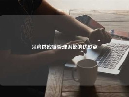 采购供应链管理系统的优缺点