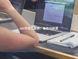 ERP开发工程师：角色与职责