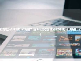 芒果店长ERP如何使用？提升业务管理和效率的秘诀是什么？