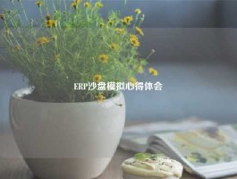 ERP沙盘模拟心得体会