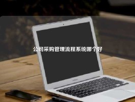 公司采购管理流程系统哪个好