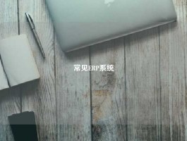 常见ERP系统