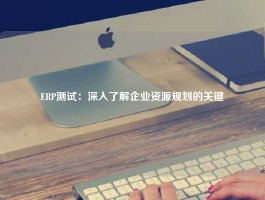 ERP测试：深入了解企业资源规划的关键