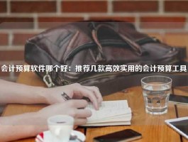 会计预算软件哪个好：推荐几款高效实用的会计预算工具