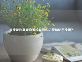 攀枝花档案查询系统有哪些功能和使用步骤？